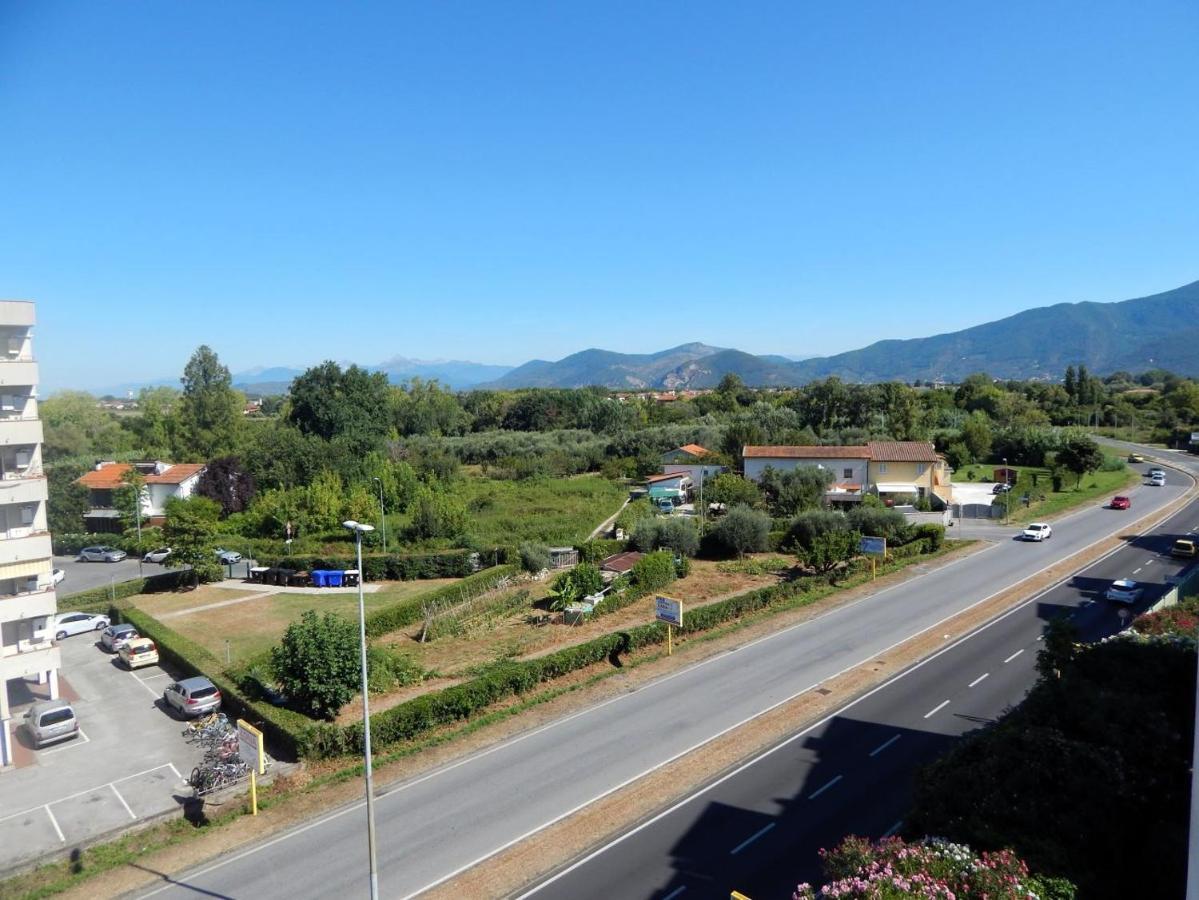 B&B L'Orchidea Pisa Dış mekan fotoğraf