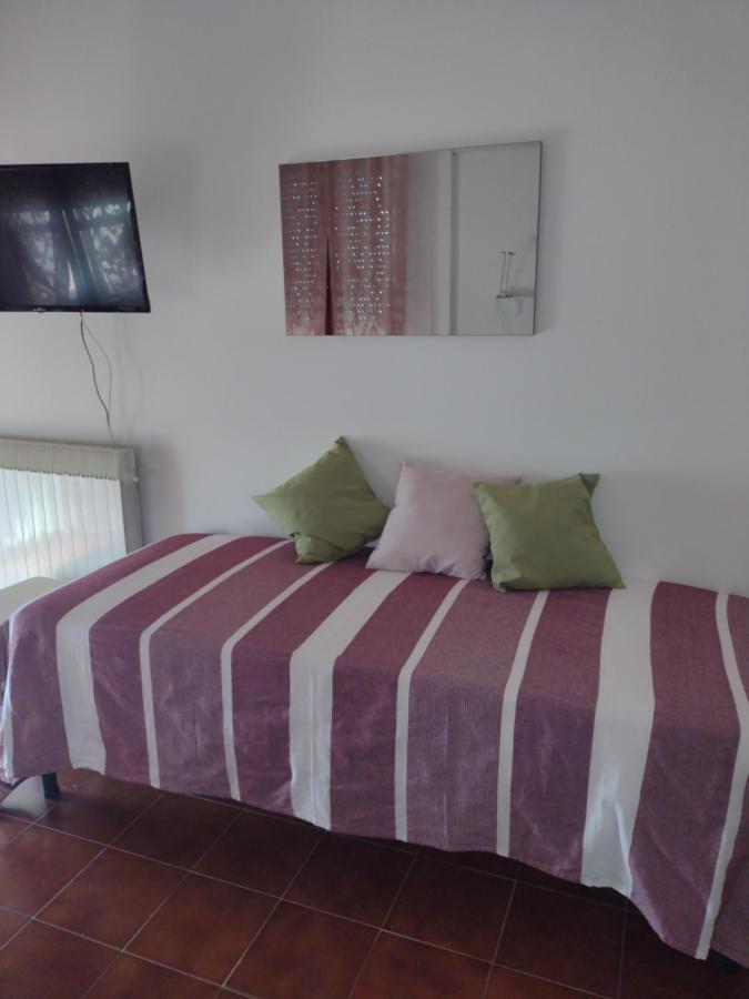B&B L'Orchidea Pisa Dış mekan fotoğraf