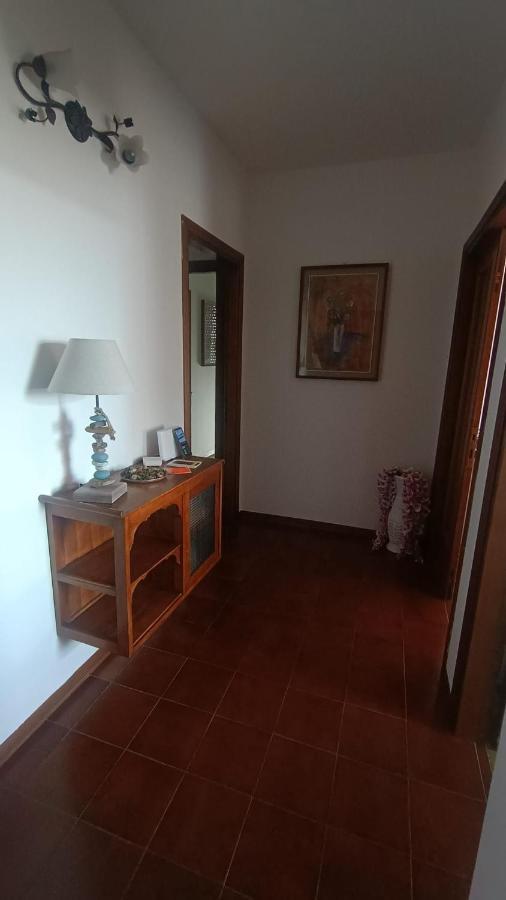 B&B L'Orchidea Pisa Dış mekan fotoğraf